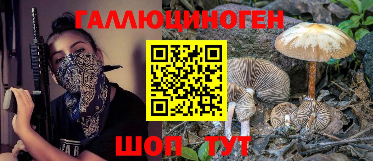 Псилоцибиновые грибы GOLDEN TEACHER  Вход с VPN  Юрга 